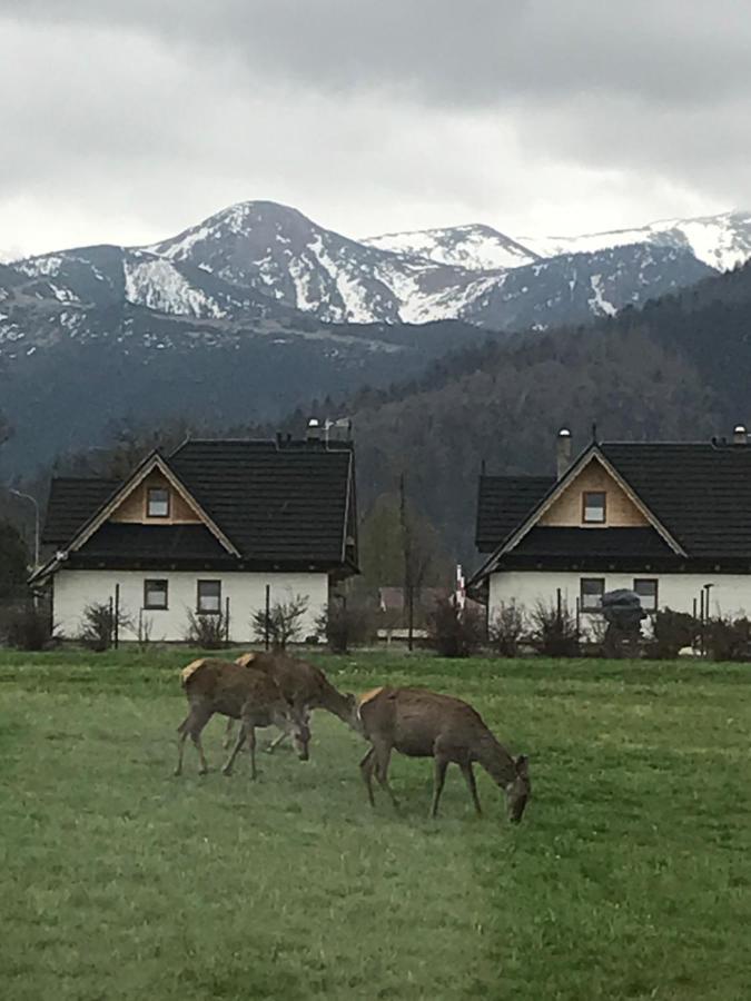 Villa Jumper Widok Na Cale Tatry Lazienka Nie Jest W Pokoju Zakopane Exteriér fotografie
