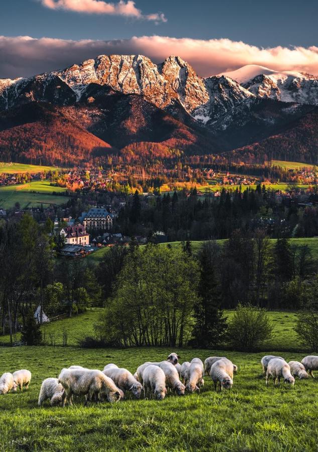 Villa Jumper Widok Na Cale Tatry Lazienka Nie Jest W Pokoju Zakopane Exteriér fotografie